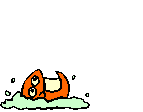 pesce