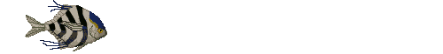 pesce1