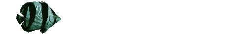pesce2