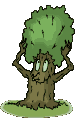 albero