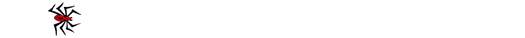 ragnetto